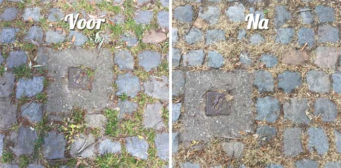 Onkruid tussen tegels verwijderen - Uw Tuingids Onkruid Tussen Tegels Verwijderen - Uw Tuingids